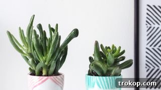 DIY Mini Face Planters