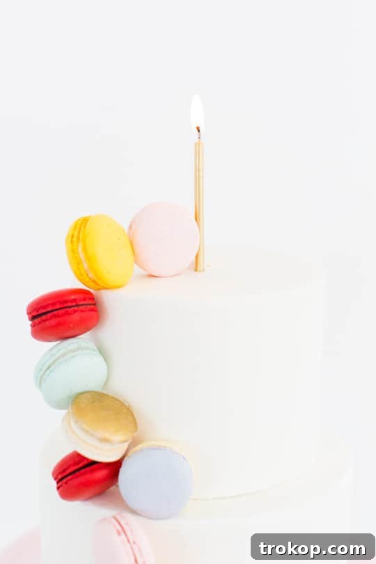 Elegant DIY Macaron Cake for Any Celebration - Sugar & Cloth