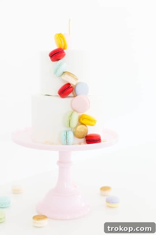 Gathering Supplies for Your DIY Macaron Cake - Sugar & Cloth