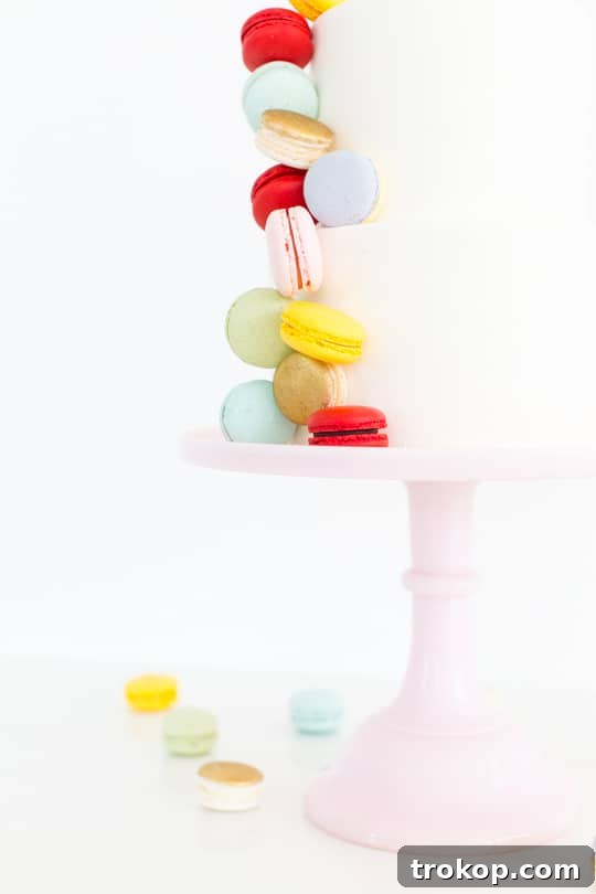 Step-by-Step Macaron Cake Decoration - Sugar & Cloth