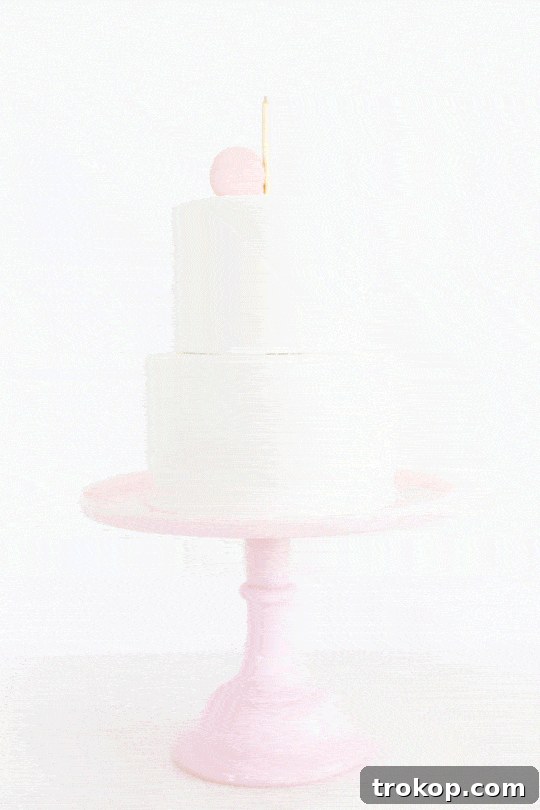 DIY Macaron Cake Assembly Tips - Sugar & Cloth