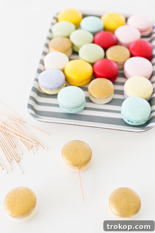 Transporting Your Macaron Cake Safely - Sugar & Cloth