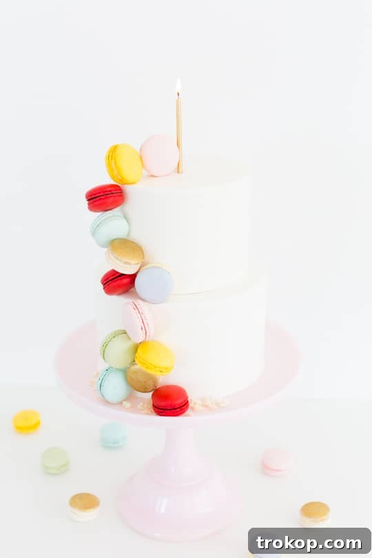 Final Look at Your Impressive DIY Macaron Cake - Sugar & Cloth