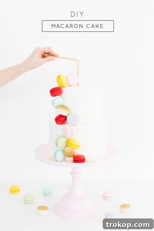 Close-up of a Beautifully Decorated Macaron Cake - Sugar & Cloth