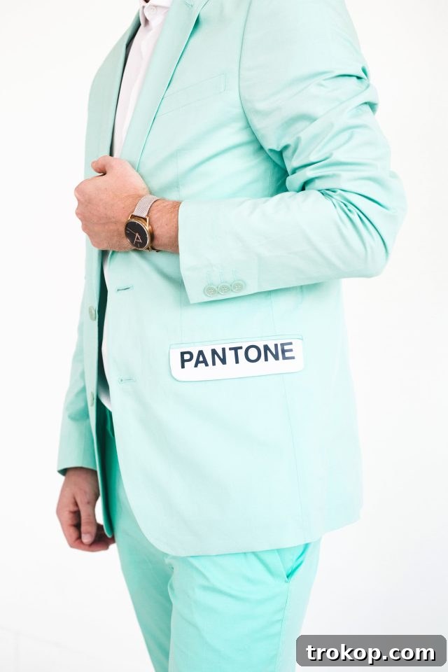 Men's Halloween Costume Idea Pantone Colors