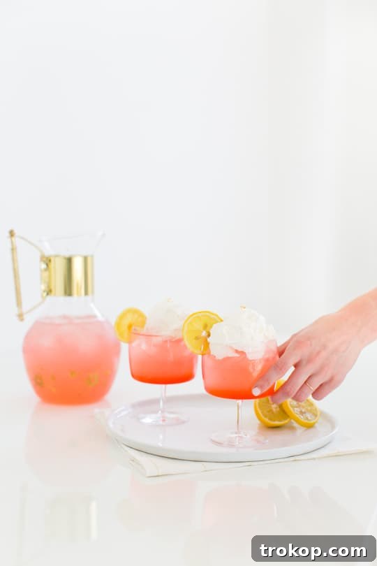 Pink Lemonade Cocktail Meets Gray Malin's Art 2 Refreshing Pink Lemonade Cocktail in a Glass