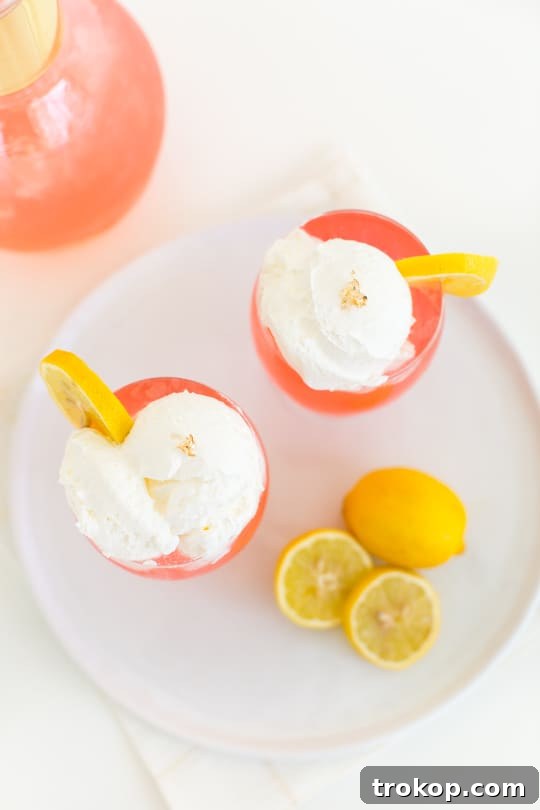 Pink Lemonade Cocktail Meets Gray Malin's Art 6 Finished Pink Lemonade Cocktail with Lemon Wheel and Gold Flakes