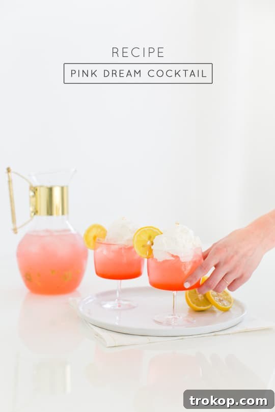 Pink Lemonade Cocktail Meets Gray Malin's Art 7 Selection of Refreshing Cocktails