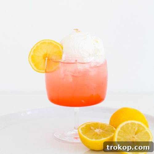 Pink Lemonade Cocktail Meets Gray Malin's Art 8 Pink Lemonade Cocktail Recipe Image