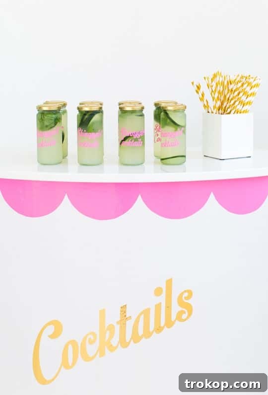 Skinnygirl Sips and DIY Delights Houston Edition 18 Skinnygirl Cocktails and Sugar & Cloth DIY Event - Houston Recap