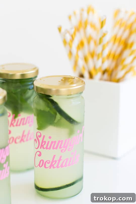 Skinnygirl Sips and DIY Delights Houston Edition 5 Skinnygirl Cocktails and Sugar & Cloth DIY Event - Houston Recap