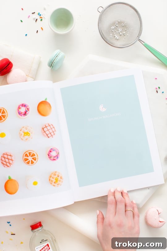 Macaron Elegance A Visual Journey 3 Glossary of Macarons coffee table book with Blurb - Sugar & Cloth