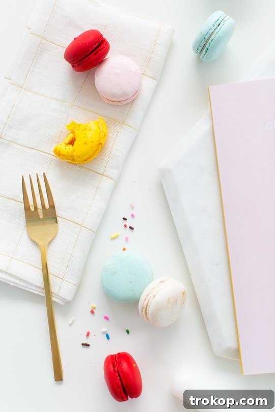 Macaron Elegance A Visual Journey 5 Glossary of Macarons coffee table book with Blurb - Sugar & Cloth