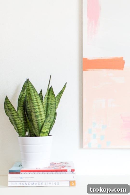 Apartment Living Room Reimagined 11 Indoor plants and a metallic DIY pendant sconce enhance the warmth and style of the living room