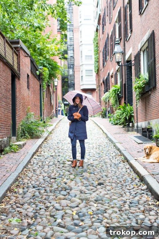 Picture Perfect Boston: A 48-Hour Photography Expedition 2 Charming cobblestone streets and historic architecture in Boston, a perfect photo opportunity for travelers.