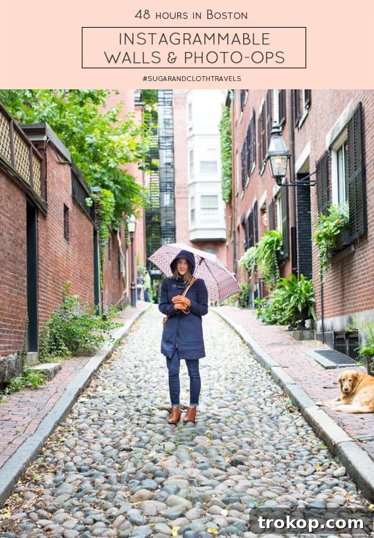Picture Perfect Boston: A 48-Hour Photography Expedition 14 A curated list of the most photogenic walls and unique photo opportunities across Boston's diverse landscapes.