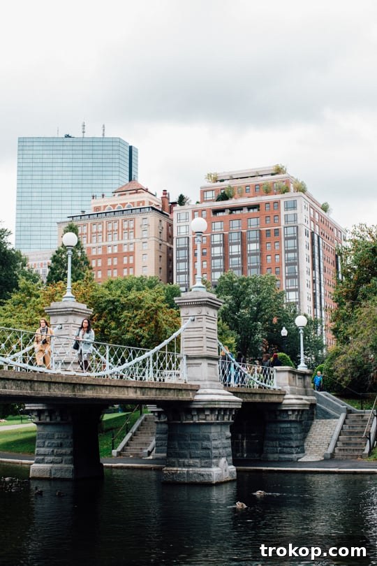 Picture Perfect Boston: A 48-Hour Photography Expedition 3 Capturing the essence of Boston's beauty, from public gardens to iconic streets, for an unforgettable travel experience.