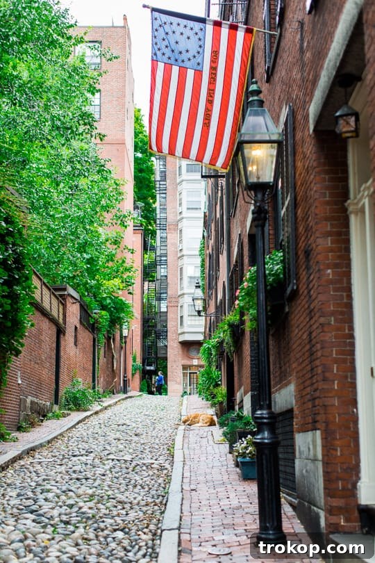Picture Perfect Boston: A 48-Hour Photography Expedition 6 Acorn Street in Beacon Hill, renowned for its picturesque cobblestones and historic red brick buildings, ideal for travel photography.