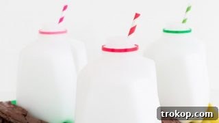 DIY Santa Milk And Cookies Idea