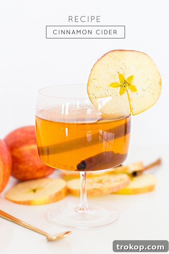 Cinnamon Cider Recipe - Sugar and Cloth