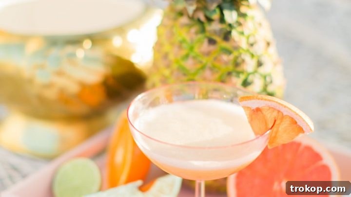 Immunity Boosting Citrus Gin Punch Cocktail Recipe