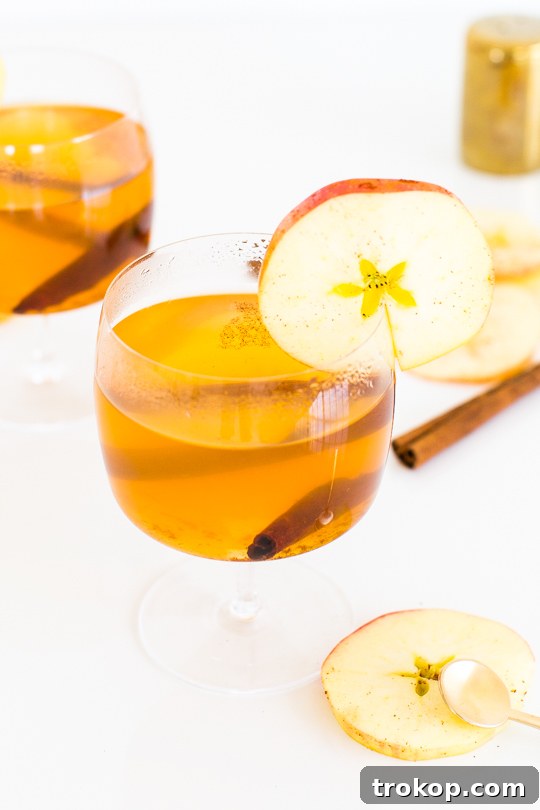 Cinnamon Cider Recipe - Sugar and Cloth