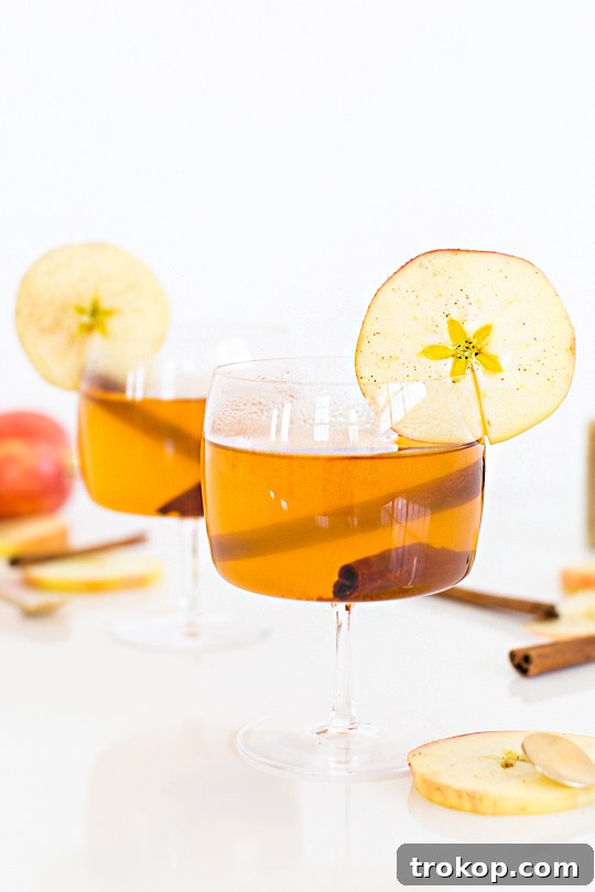Cinnamon Cider Recipe - Sugar and Cloth