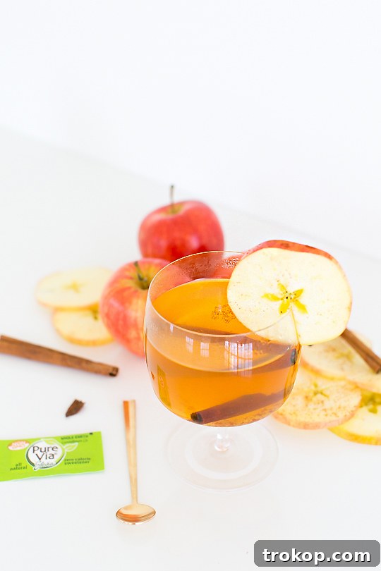 Cinnamon Cider Recipe - Sugar and Cloth