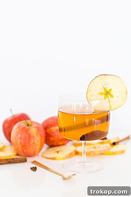 Cinnamon Cider Recipe - Sugar and Cloth