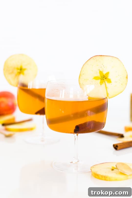 Cinnamon Cider Recipe - Sugar and Cloth