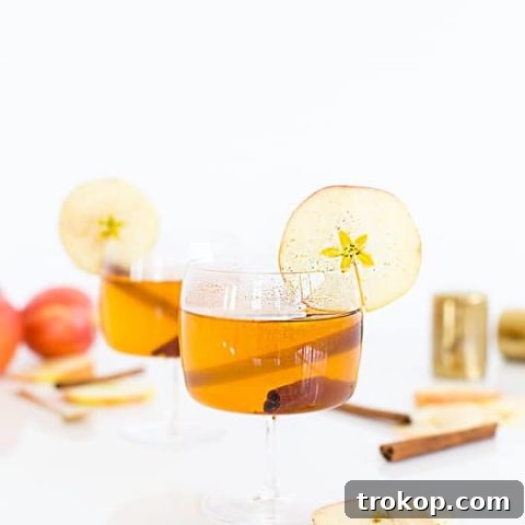 Cinnamon Cider Recipe - Sugar and Cloth