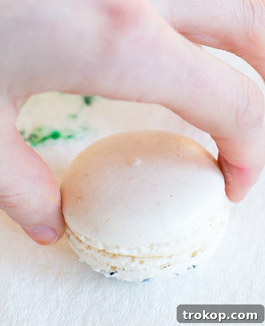 DIY Marbled Macarons - Sugar and Cloth