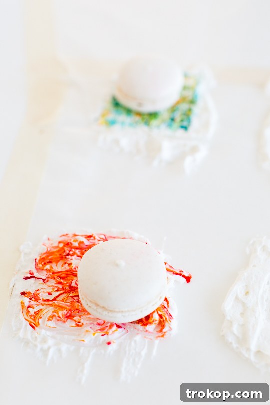 DIY Marbled Macarons - Sugar and Cloth