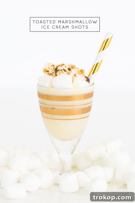 Delicious Toasted Marshmallow Ice Cream Shots, perfect for holiday parties