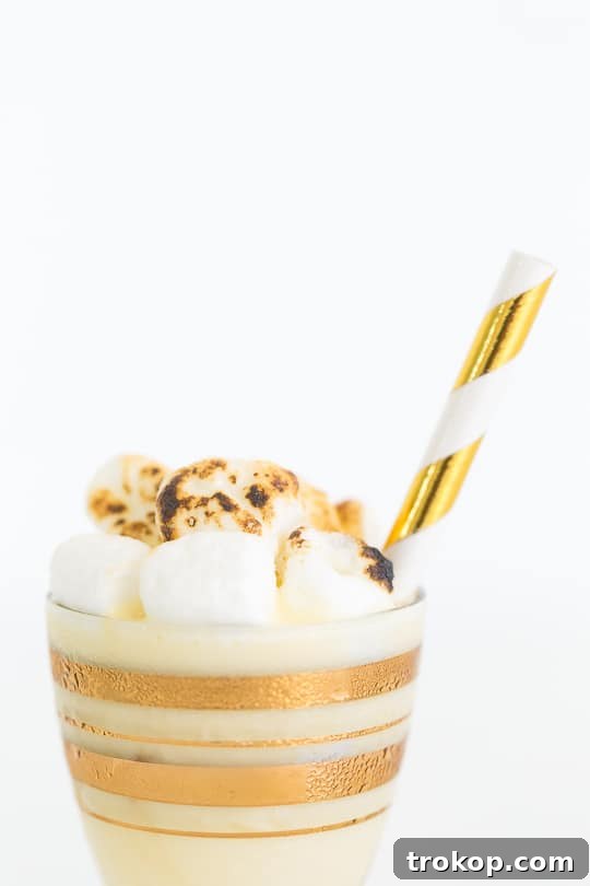 Toasted Marshmallow Ice Cream in a bowl, showcasing its creamy texture