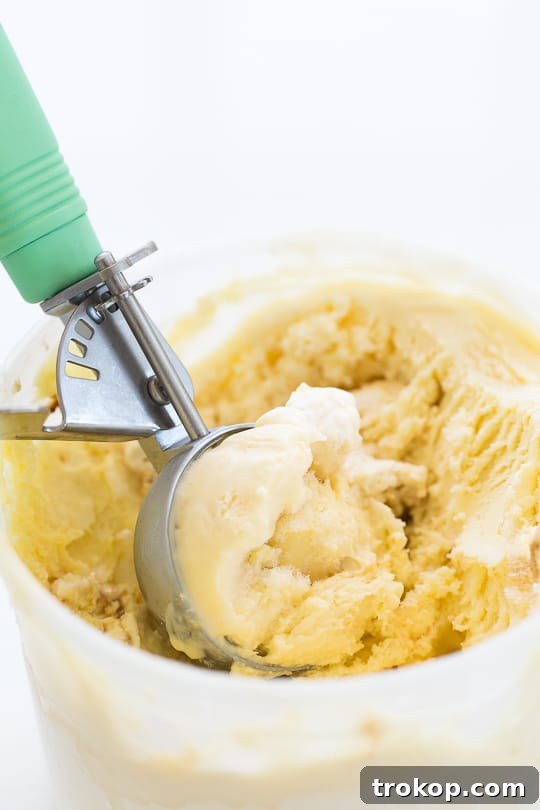 Freshly churned Toasted Marshmallow Ice Cream, ready to be served or used in shots