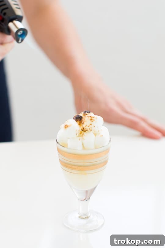 Toasted Marshmallow Ice Cream Shots, beautifully garnished and ready to serve