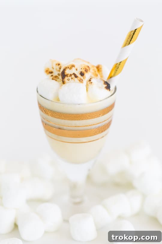 Individual Toasted Marshmallow Ice Cream Shots with striped straws