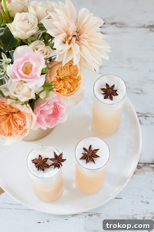 Warmly Spiced Apple Brandy Fizz 2 Apple Brandy Allspice Fizz Cocktail Recipe - sugar and cloth - entraining cocktails by Houston Blogger Ashley Rose #cocktail #drink #fizz #apple #brandy #allspice #applebandy #holiday #recipe