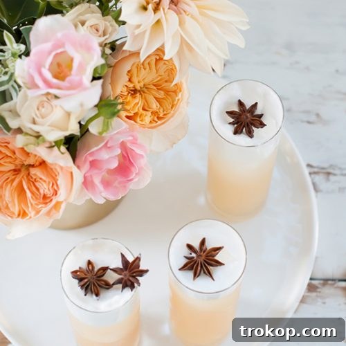 apple brandy allspice fizz cocktail recipe - sugar and cloth