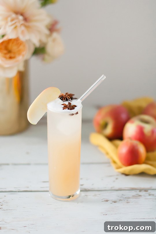 Warmly Spiced Apple Brandy Fizz 3 Apple Brandy Allspice Fizz Cocktail Recipe - sugar and cloth - entraining cocktails by Houston Blogger Ashley Rose #cocktail #drink #fizz #apple #brandy #allspice #applebandy #holiday #recipe