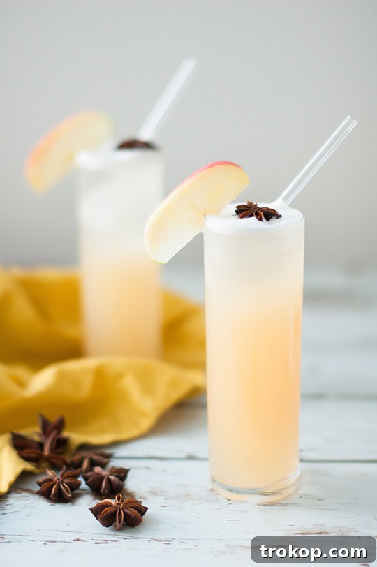 Warmly Spiced Apple Brandy Fizz 4 Apple Brandy Allspice Fizz Cocktail Recipe - sugar and cloth - entraining cocktails by Houston Blogger Ashley Rose #cocktail #drink #fizz #apple #brandy #allspice #applebandy #holiday #recipe