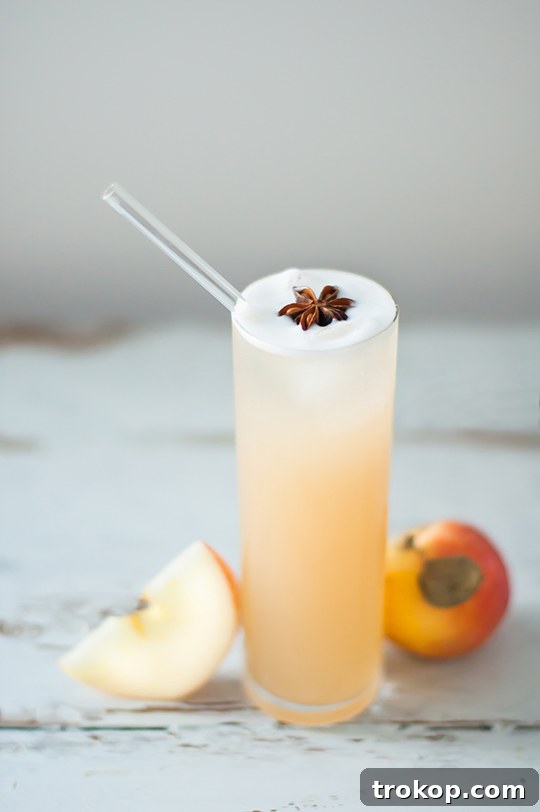 Warmly Spiced Apple Brandy Fizz 5 Apple Brandy Allspice Fizz Cocktail Recipe - sugar and cloth - entraining cocktails by Houston Blogger Ashley Rose #cocktail #drink #fizz #apple #brandy #allspice #applebandy #holiday #recipe