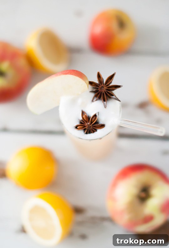 Warmly Spiced Apple Brandy Fizz 6 Apple Brandy Allspice Fizz Cocktail Recipe - sugar and cloth - entraining cocktails by Houston Blogger Ashley Rose #cocktail #drink #fizz #apple #brandy #allspice #applebandy #holiday #recipe