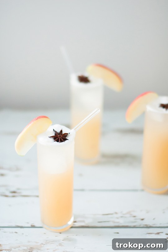 Warmly Spiced Apple Brandy Fizz 7 Apple Brandy Allspice Fizz Cocktail Recipe - sugar and cloth - entraining cocktails by Houston Blogger Ashley Rose #cocktail #drink #fizz #apple #brandy #allspice #applebandy #holiday #recipe
