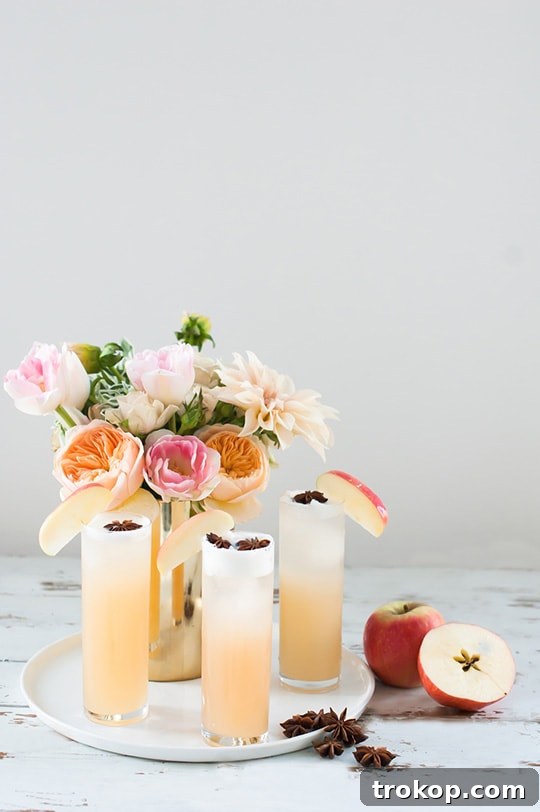 Warmly Spiced Apple Brandy Fizz 8 Apple Brandy Allspice Fizz Cocktail Recipe - sugar and cloth - entraining cocktails by Houston Blogger Ashley Rose #cocktail #drink #fizz #apple #brandy #allspice #applebandy #holiday #recipe