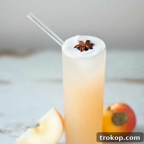 apple brandy allspice fizz cocktail recipe - sugar and cloth