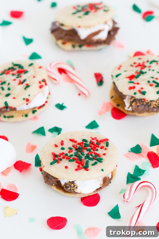 Festive Cookie Smores Delight 2 Christmas cookie smores recipe - Sugar & Cloth