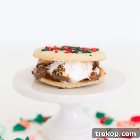 Christmas cookie smores recipe - Sugar & Cloth