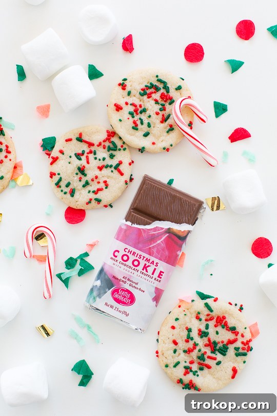 Festive Cookie Smores Delight 3 Christmas cookie smores recipe - Sugar & Cloth